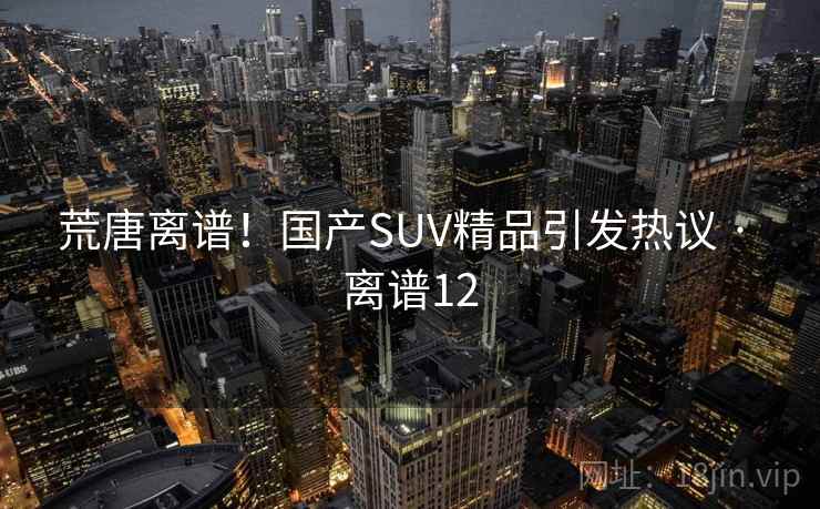 荒唐离谱！国产SUV精品引发热议 · 离谱12