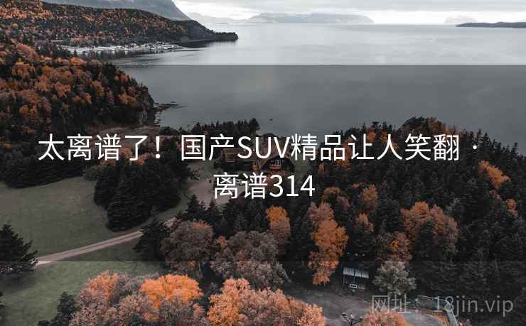 太离谱了！国产SUV精品让人笑翻 · 离谱314