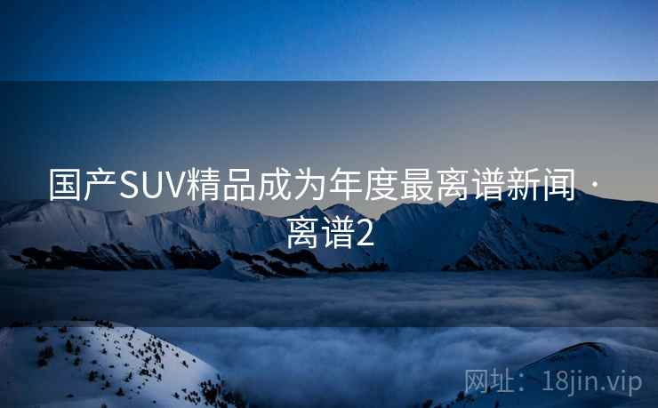 国产SUV精品成为年度最离谱新闻 · 离谱2