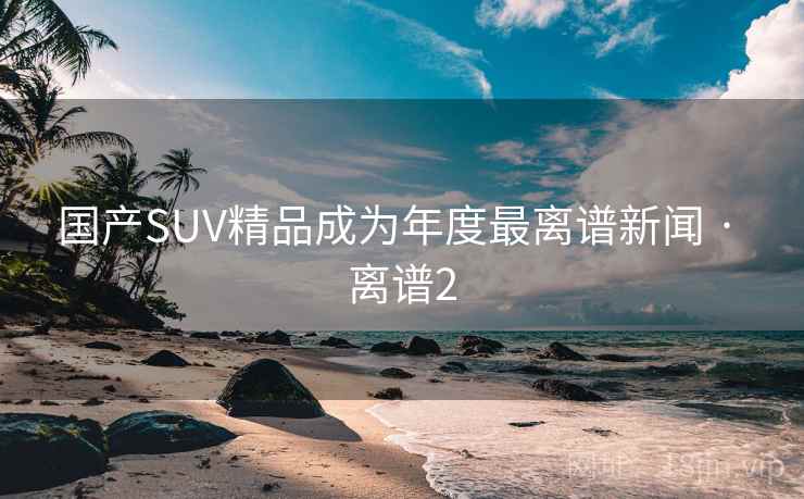 国产SUV精品成为年度最离谱新闻 · 离谱2